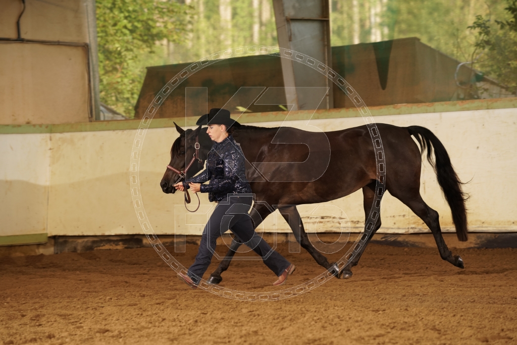 s_K3F03981.JPG